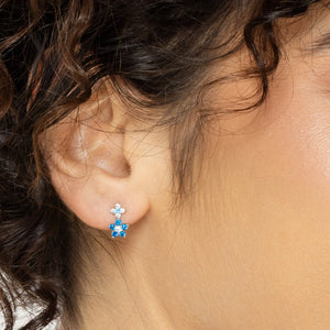 SREBRNE MINDJUŠE MINI FLORA